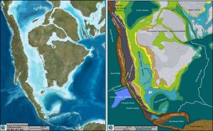 NAM_key-paltect_image