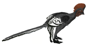 Anchiornis_martyniuk, wikimedia