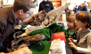 Adam Huttenlocker showing fossils to kids at the Burke Museum. Photo by Lara Shinn.