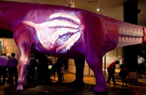 Dinosaur media fail.  No speculation without representation! www.theawl.com/2011/05/sauropod-swindle-the-monstrous-lies-of-the-worlds-largest-dinosaurs