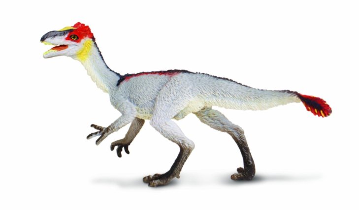 Dilong, an early tyrannosaur, by Safari Ltd.