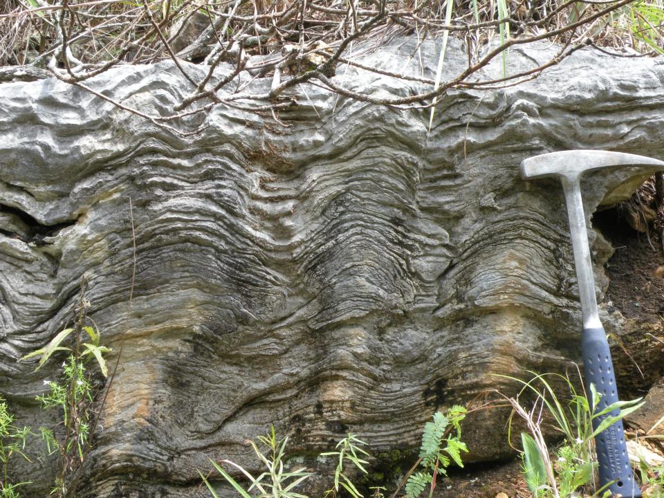 stromatolite