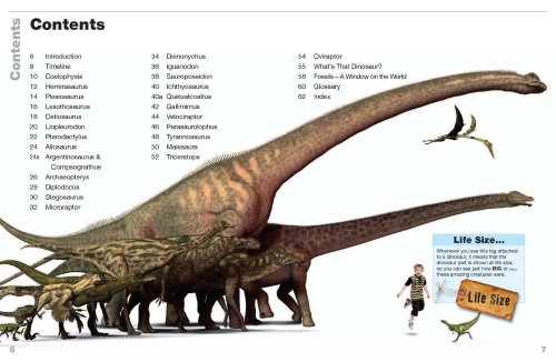 dinolifesizetoc