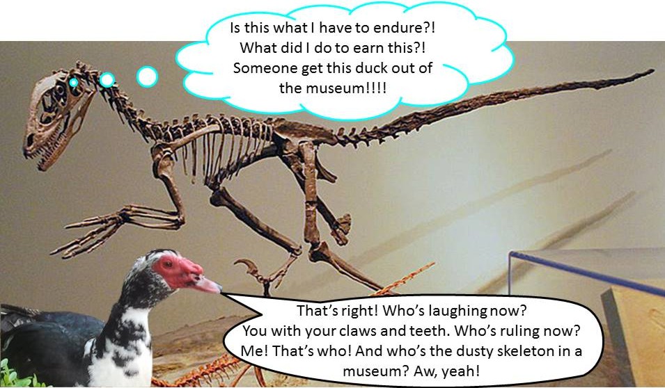 Not ALL dinosaurs died out.