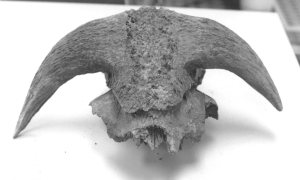 Ohio Historical Society