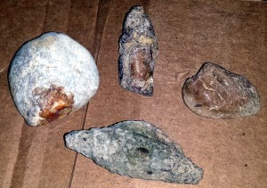 Poorly preserved snails and clams. Little orignal material remains, leaving only the internal molds.