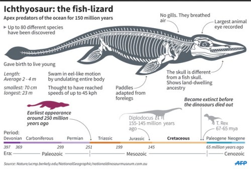 Palaeontology_Ichthysaur