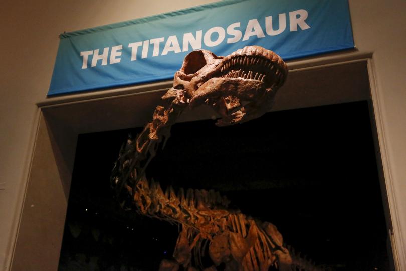 titanosaur