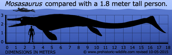 mosasaurus-size