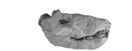 6B0BC917-6698-4F8F-A3448EC0A0CA5815