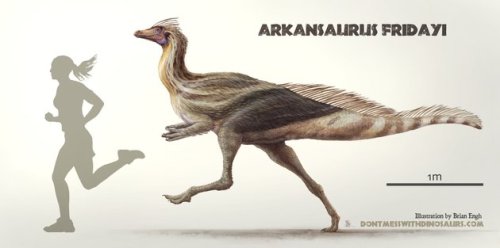 Arkansaurus